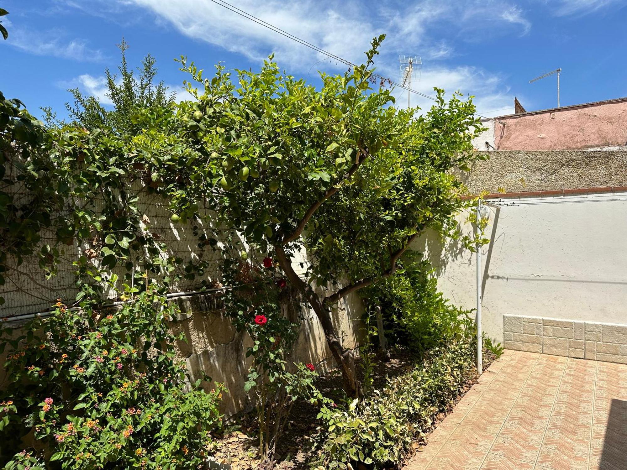 Villa San Leo San Leone Exteriör bild